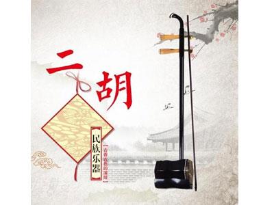 招聘鄂州二胡家教老师